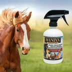Close up of Banixx branding on 16 fluid ounce spray bottle