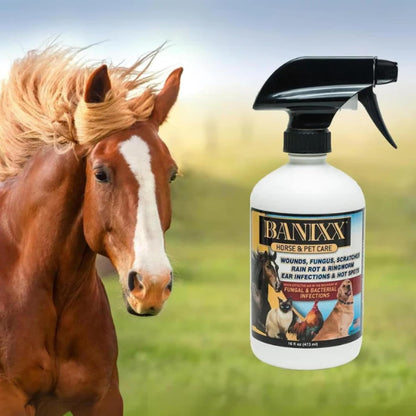 Close up of Banixx branding on 16 fluid ounce spray bottle
