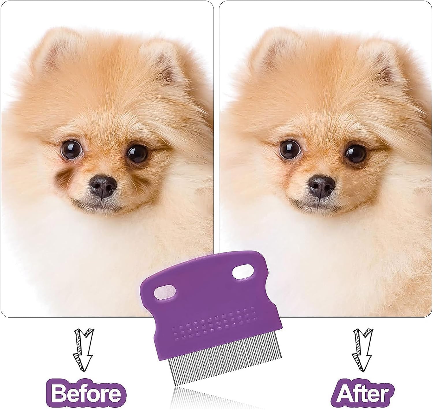 Professional grooming tools for dog eye mucus removal