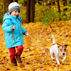 Portable round retractable pet lead white