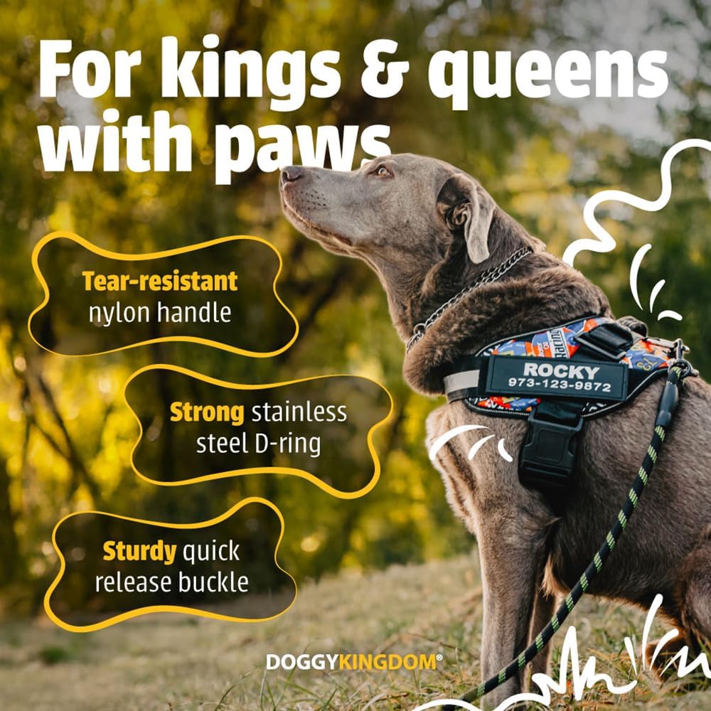 Doggykingdom Medium size dog vest showing quick release buckles