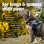 Doggykingdom Medium size dog vest showing quick release buckles