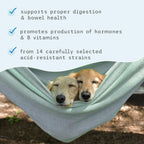 Bark and Whiskers Complete Probiotics ninety grams jar showing veterinarian formulated seal