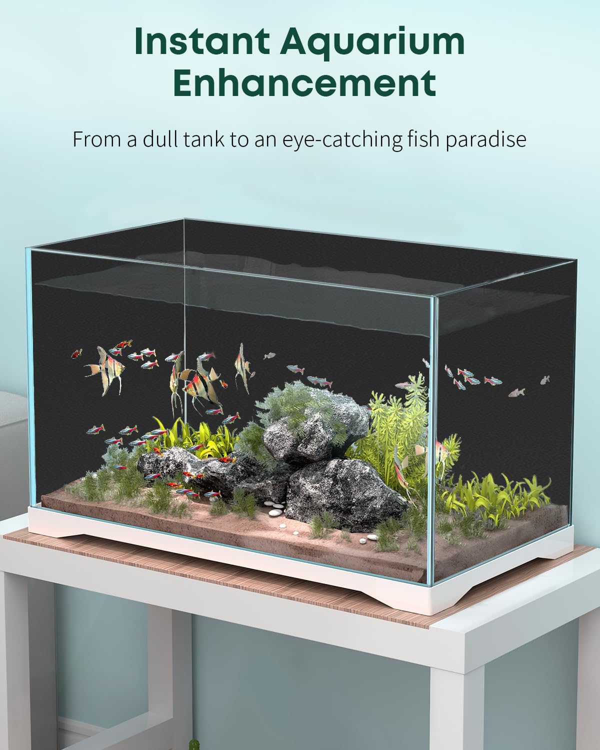 Aquascape setup highlighting how the deep black studio finish makes plants and fish pop.