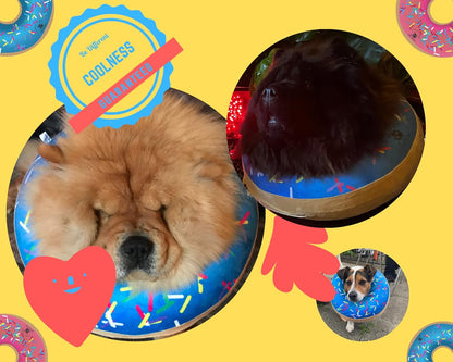 Soft alternative to traditional plastic dog cone of shame