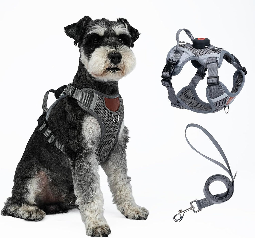 Cat Harness Leash Set with AirTag Holder, Upgraded Escape Proof Vest with Lead for Large Cat Small Dog Puppy Outdoor Walking, Soft Breathable Mesh Jacket with Reflective Strip (Black, L) - Image 14