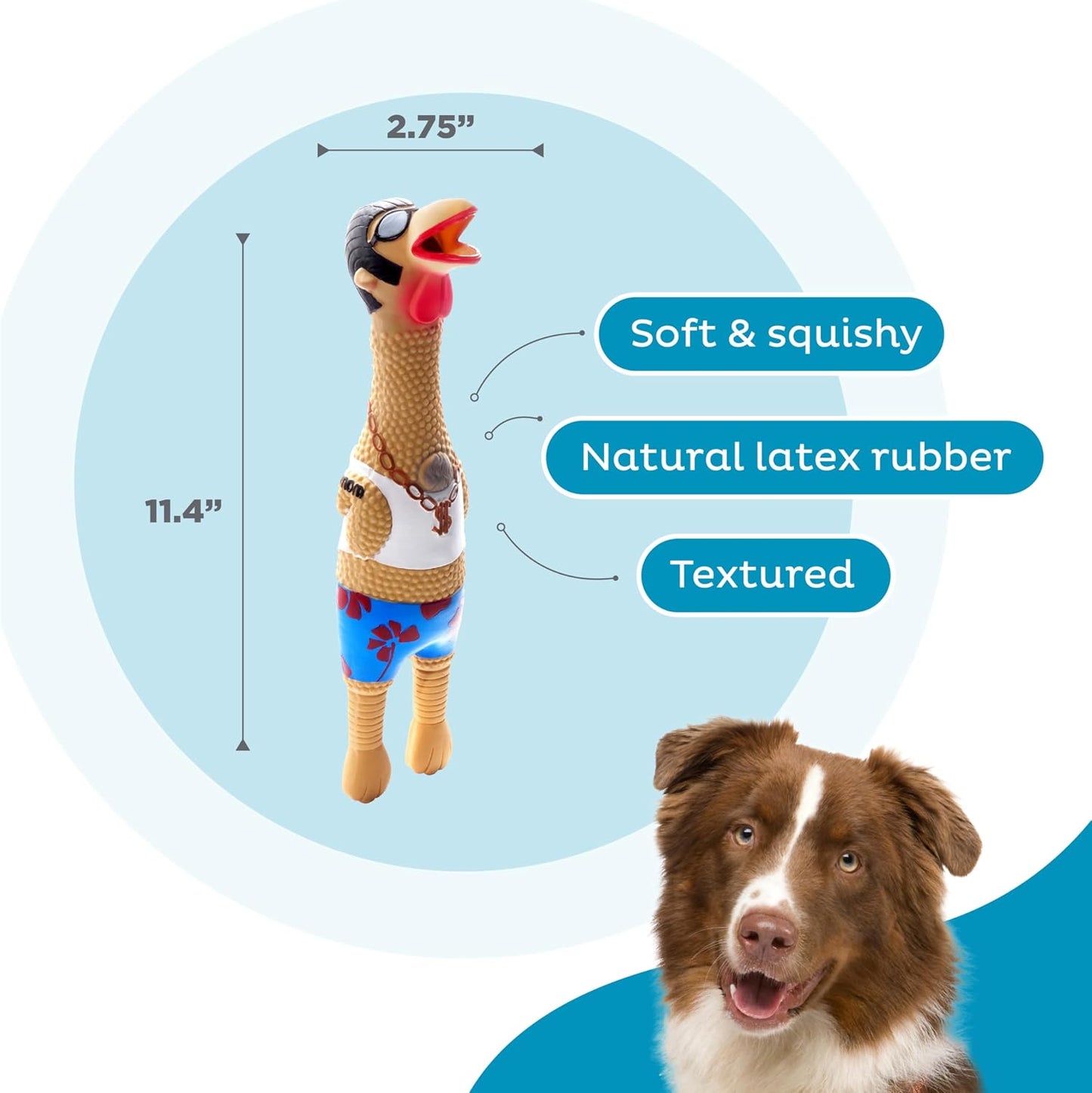 Charming Pet Squawkers squeaky rubber chicken dog toy packaging view