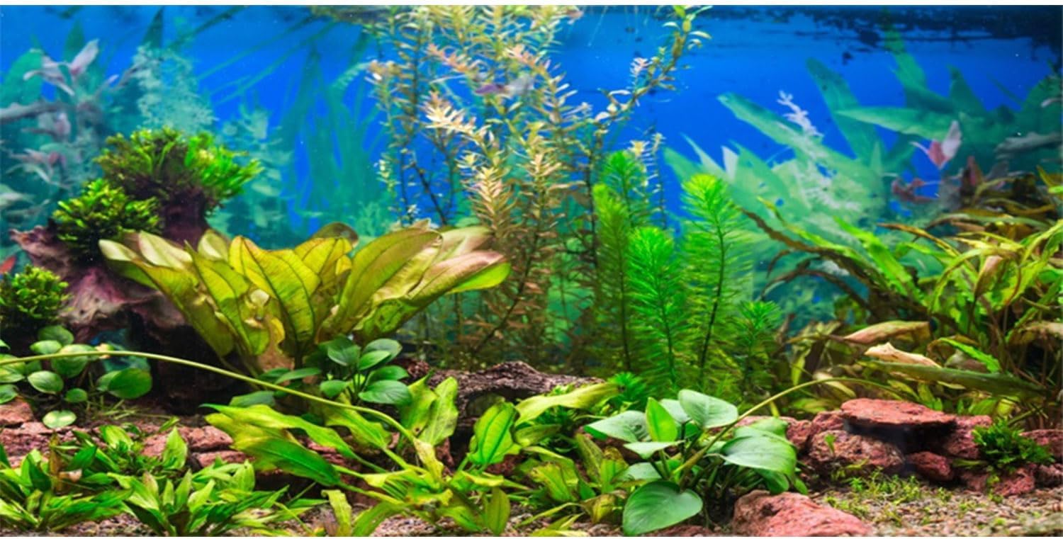 AWERT Aquarium Background front view showing vivid green aquatic plants and riverbed stones.