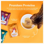Grain-free premium wet cat food variety pack showing detailed healthy ingredients.