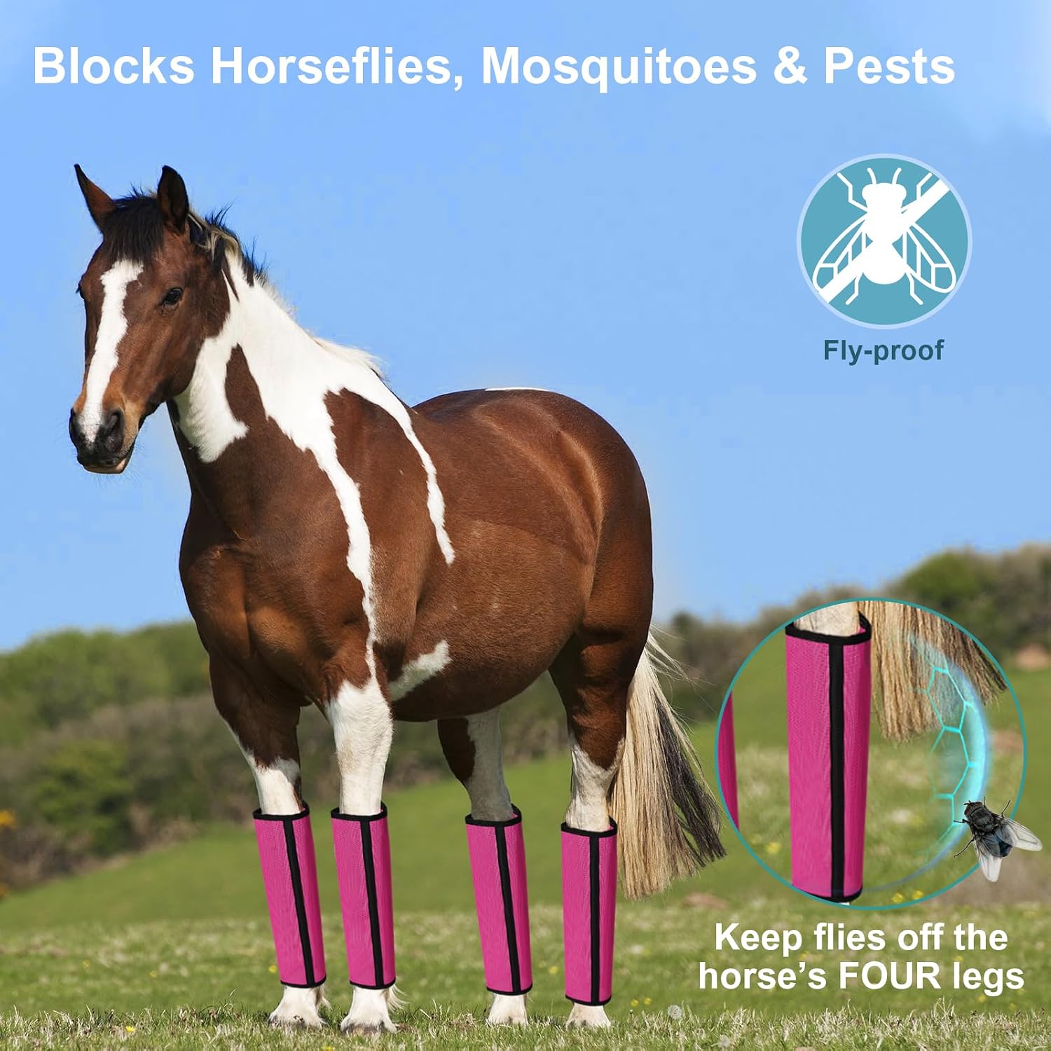 LOLEDE equine protective boots with adjustable hook and loop fasteners
