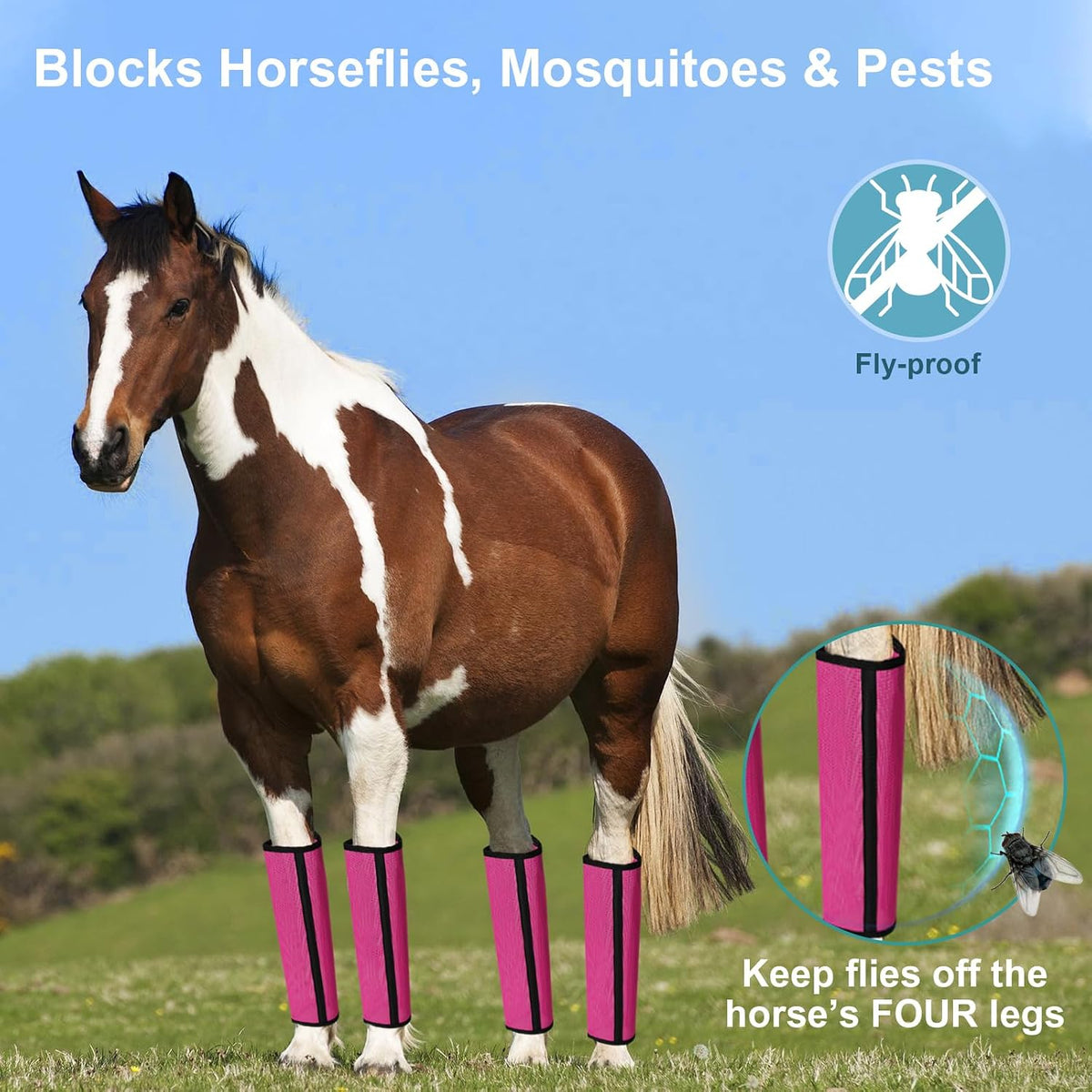 LOLEDE equine protective boots with adjustable hook and loop fasteners