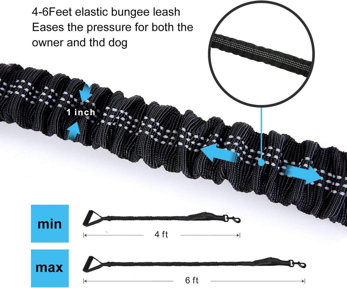 Shock absorbing bungee leash with metal carabiner and car seatbelt buckle.