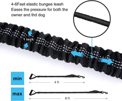 Shock absorbing bungee leash with metal carabiner and car seatbelt buckle.