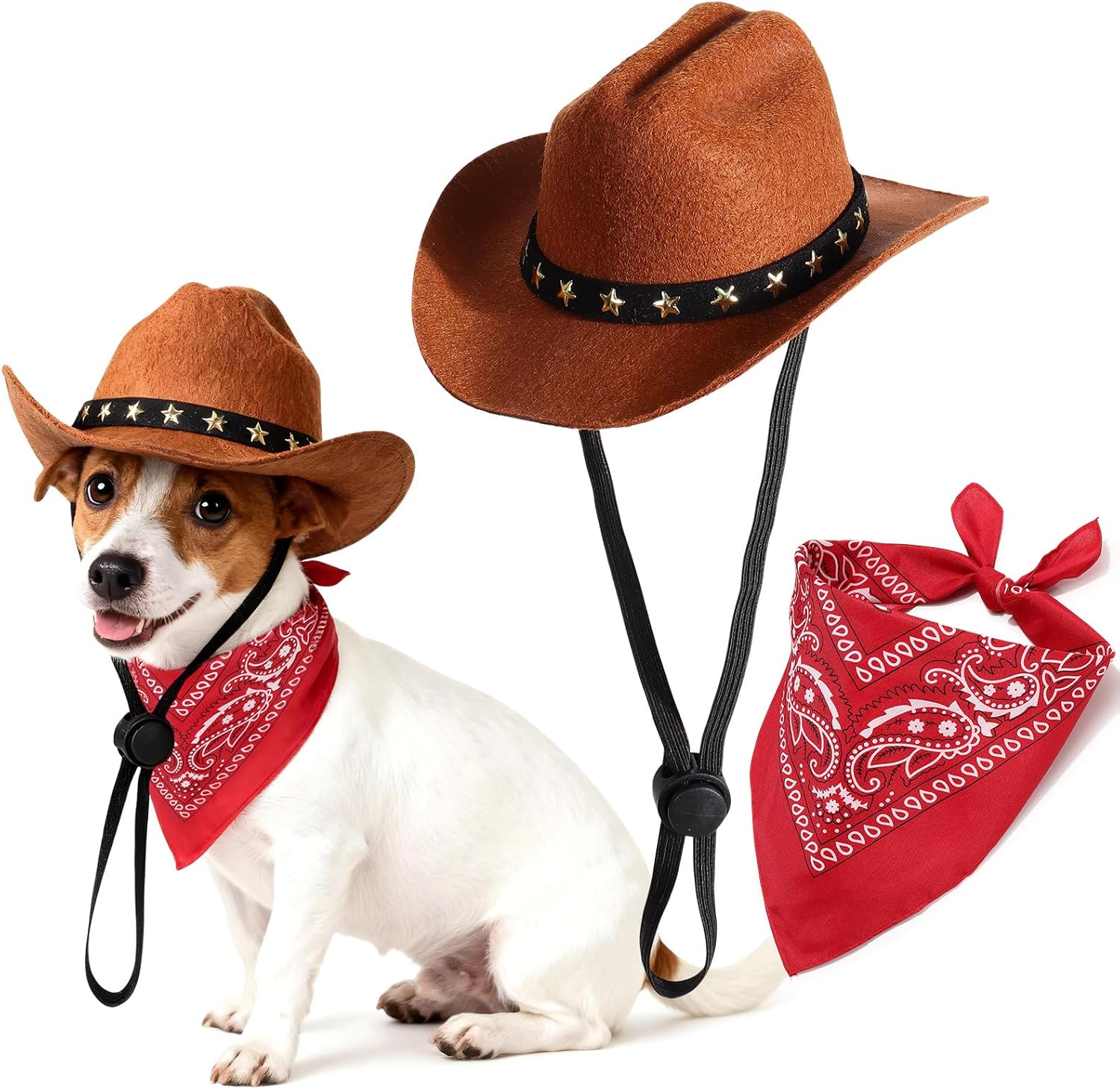 Emutol western style pet accessory kit for small dogs and cats lifestyle shot.