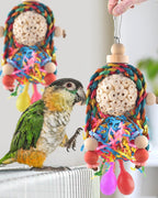 Two piece Bissap Conure enrichment toy set on white background