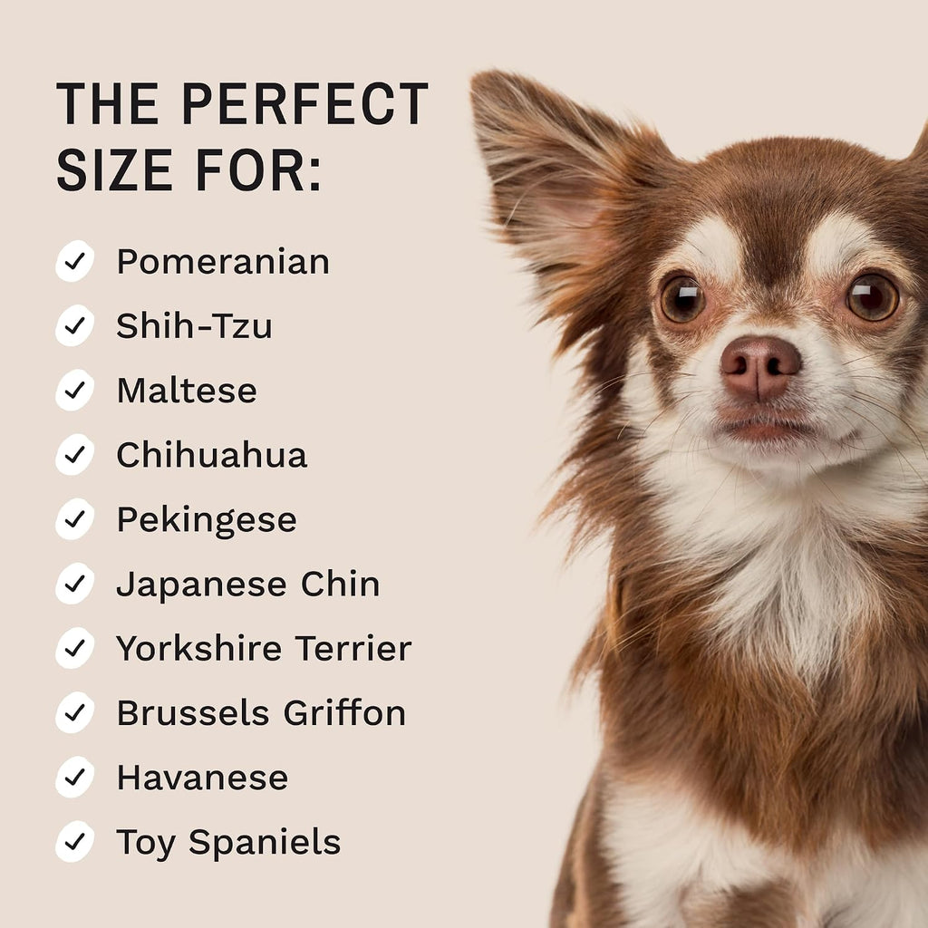 Eye Envy imported tear stain remover brush showcasing its compact design for toy dog breeds