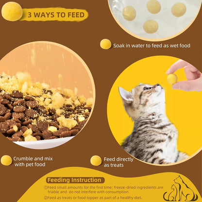 Healthy natural quail egg yolk snacks for dogs and cats