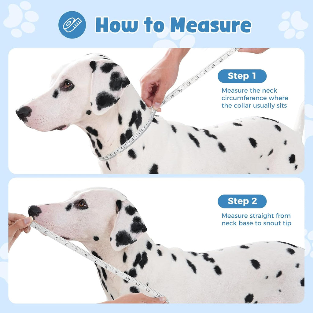 Dog wearing Avont soft E-collar for surgery recovery
