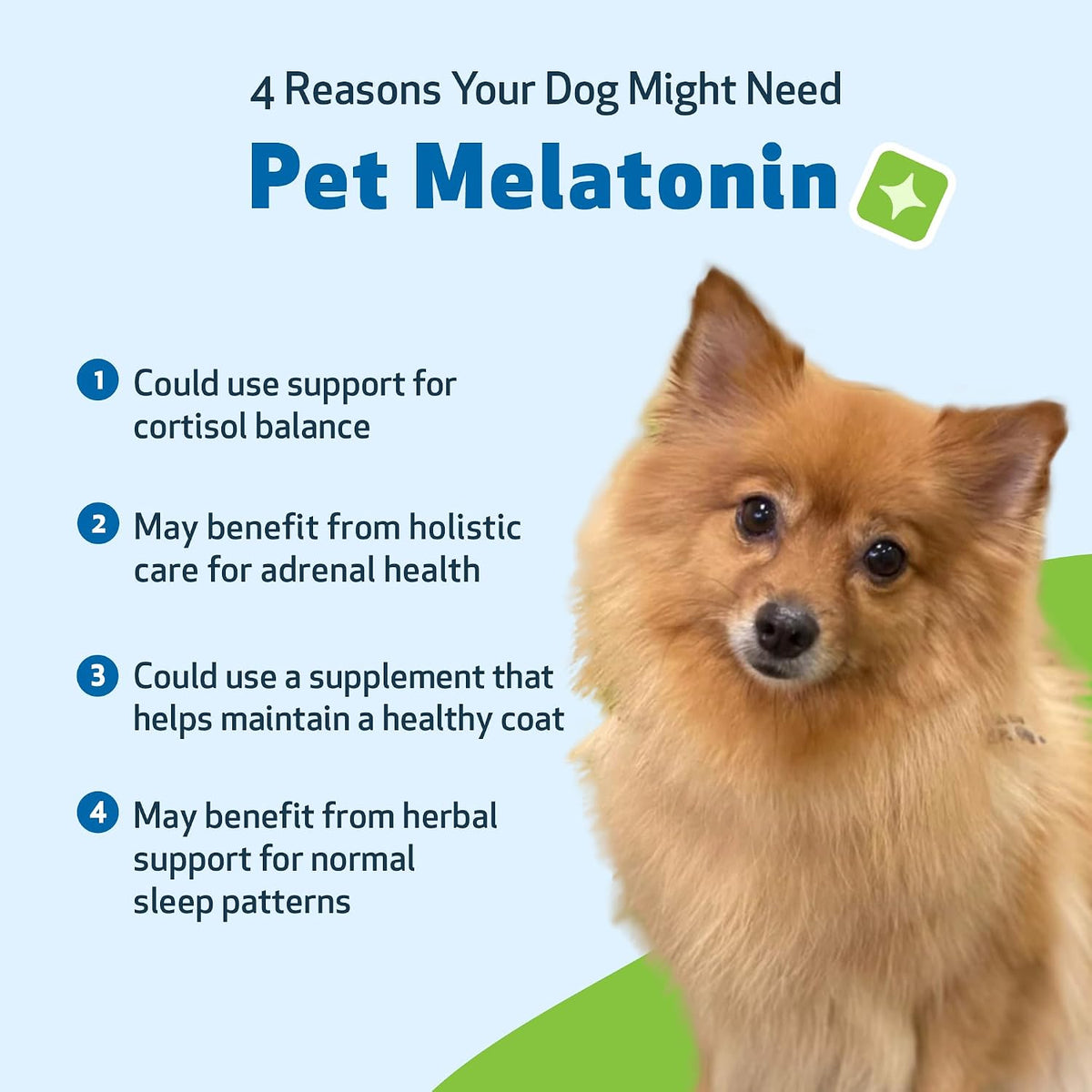 Pet Wellbeing Pet Melatonin for Dogs - Supports Adrenal Health, Cortisol Balance, Helps Maintain Normal Sleep Patterns - Veterinarian-Formulated Liquid Supplement 2 fl oz (59 ml) - Image 9