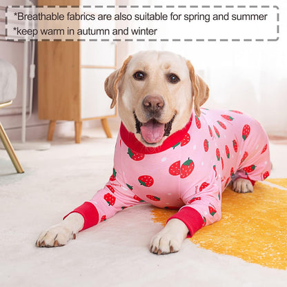 Comfortable anti licking surgical garment for dogs recovering from spay surgery.