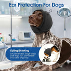 Sunfura dog ear protection wrap being adjusted on a small breed dog.