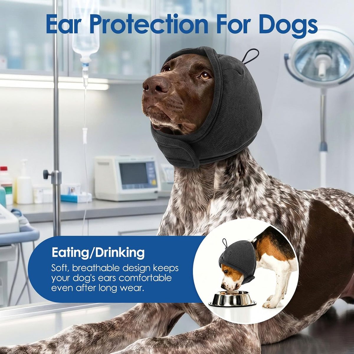 Sunfura dog ear protection wrap being adjusted on a small breed dog.
