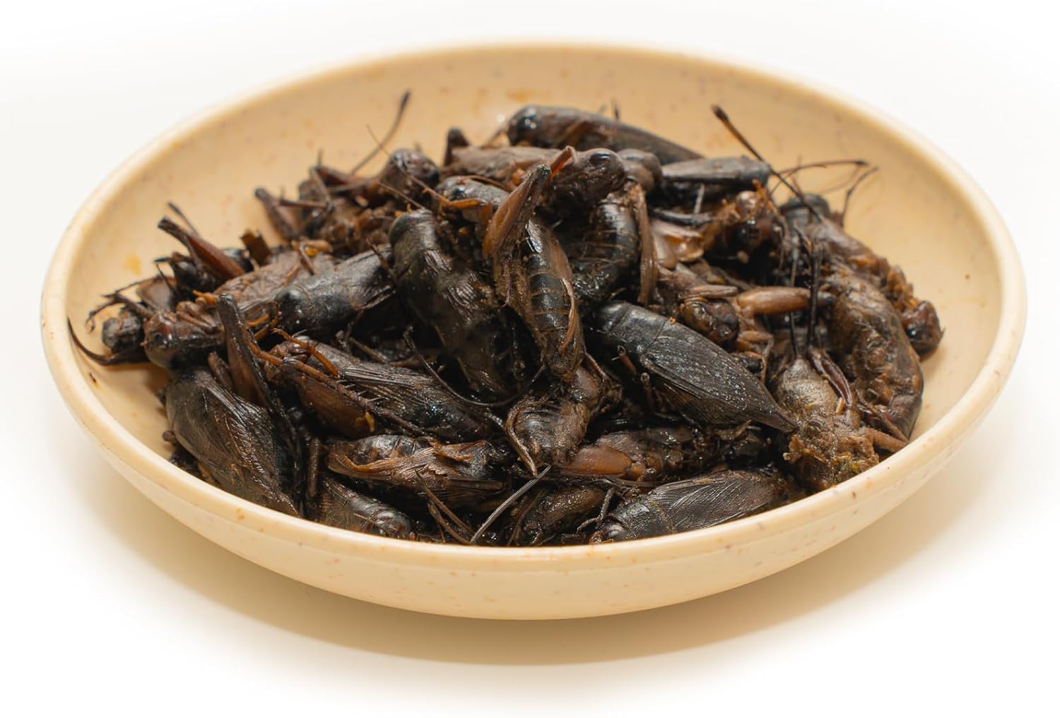 Nutritional facts on Jadingsfarm cricket treats container