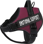 Reflective nylon stitching on voopet service pet vest for night safety