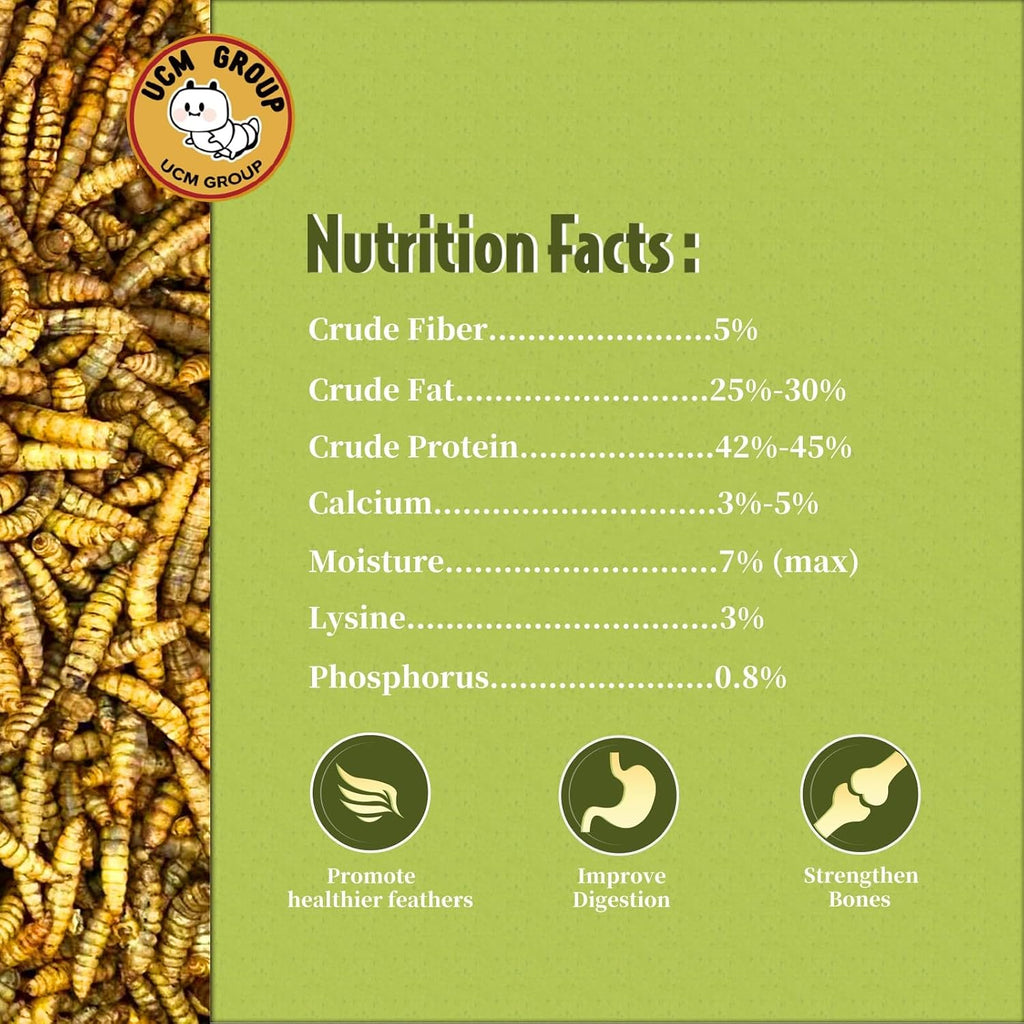 Close up of high protein black soldier fly larvae treats
