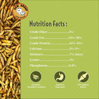 Close up of high protein black soldier fly larvae treats
