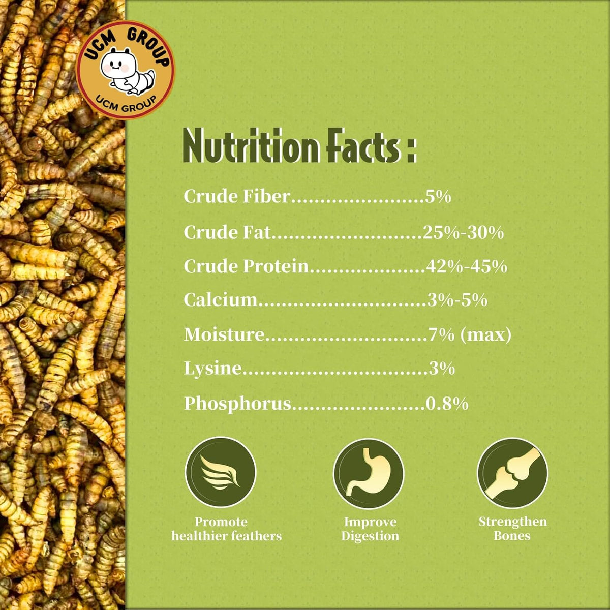 Close up of high protein black soldier fly larvae treats