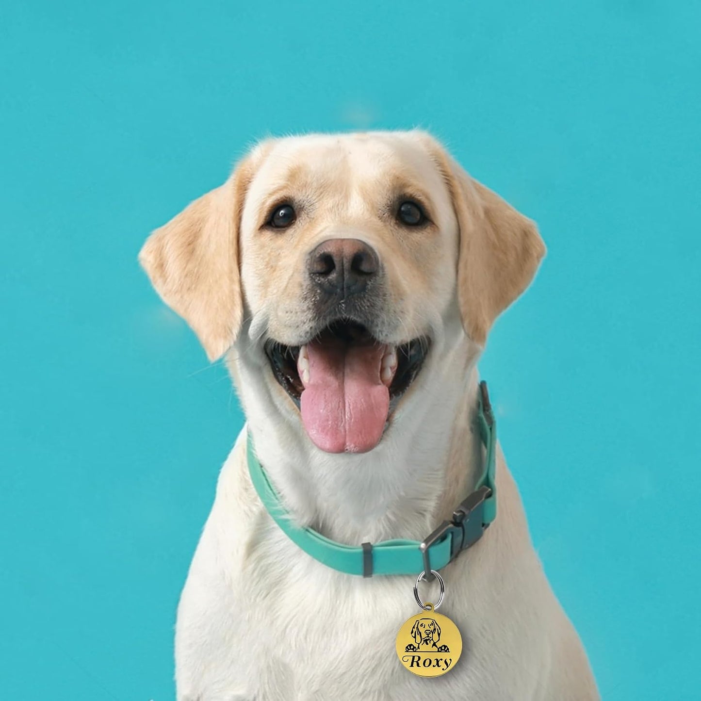 Premium laser-etched metal pet tag with an included split ring accessory.