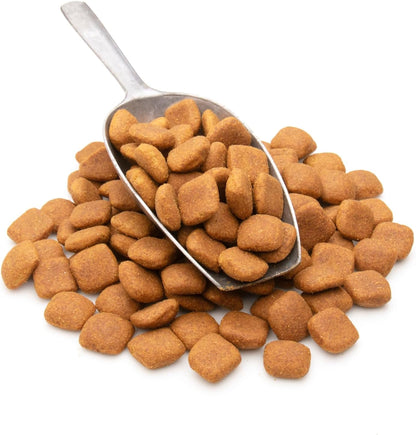S.O.S. Food Lab five year shelf life dog food ration being rehydrated with warm water