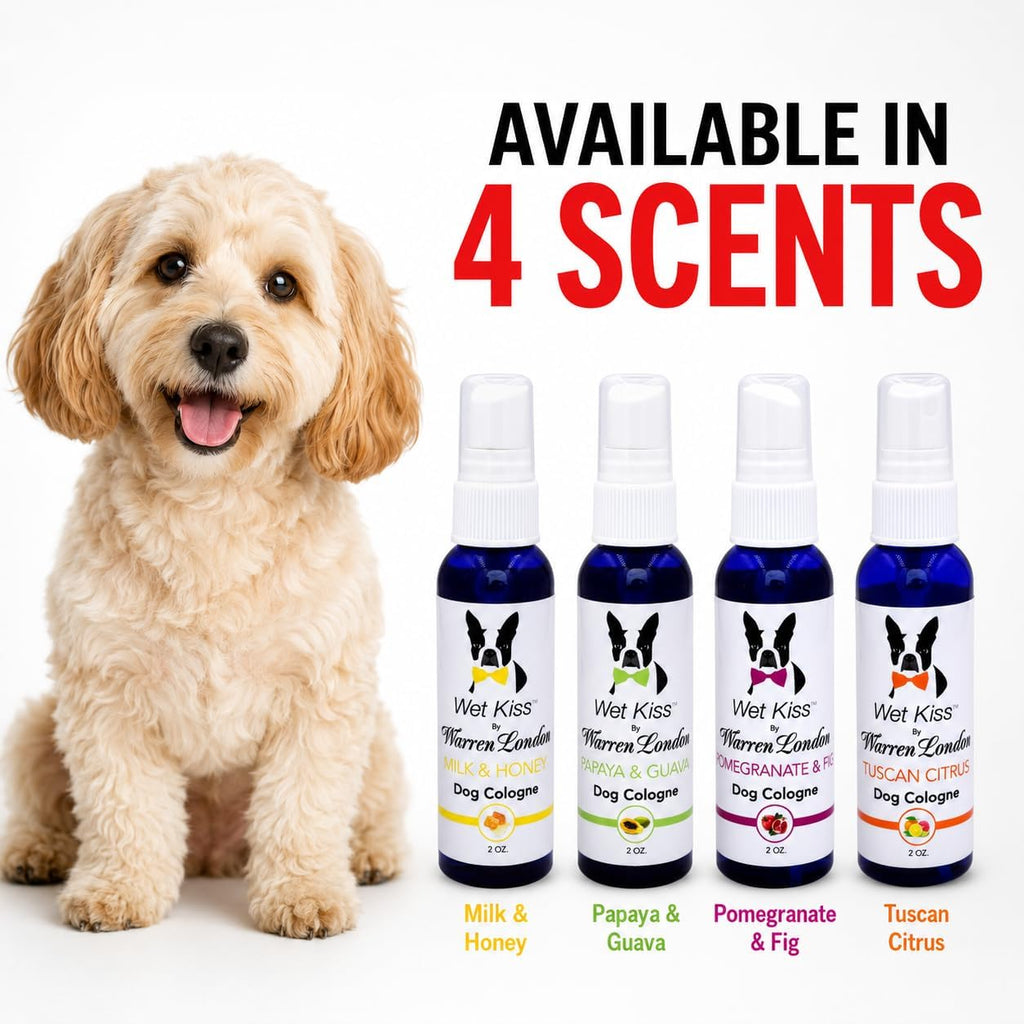 USA imported Warren London pet fragrance spray package back view.