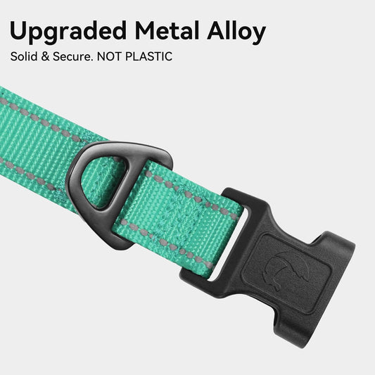 Joytale dog collar showing soft neoprene inner padding