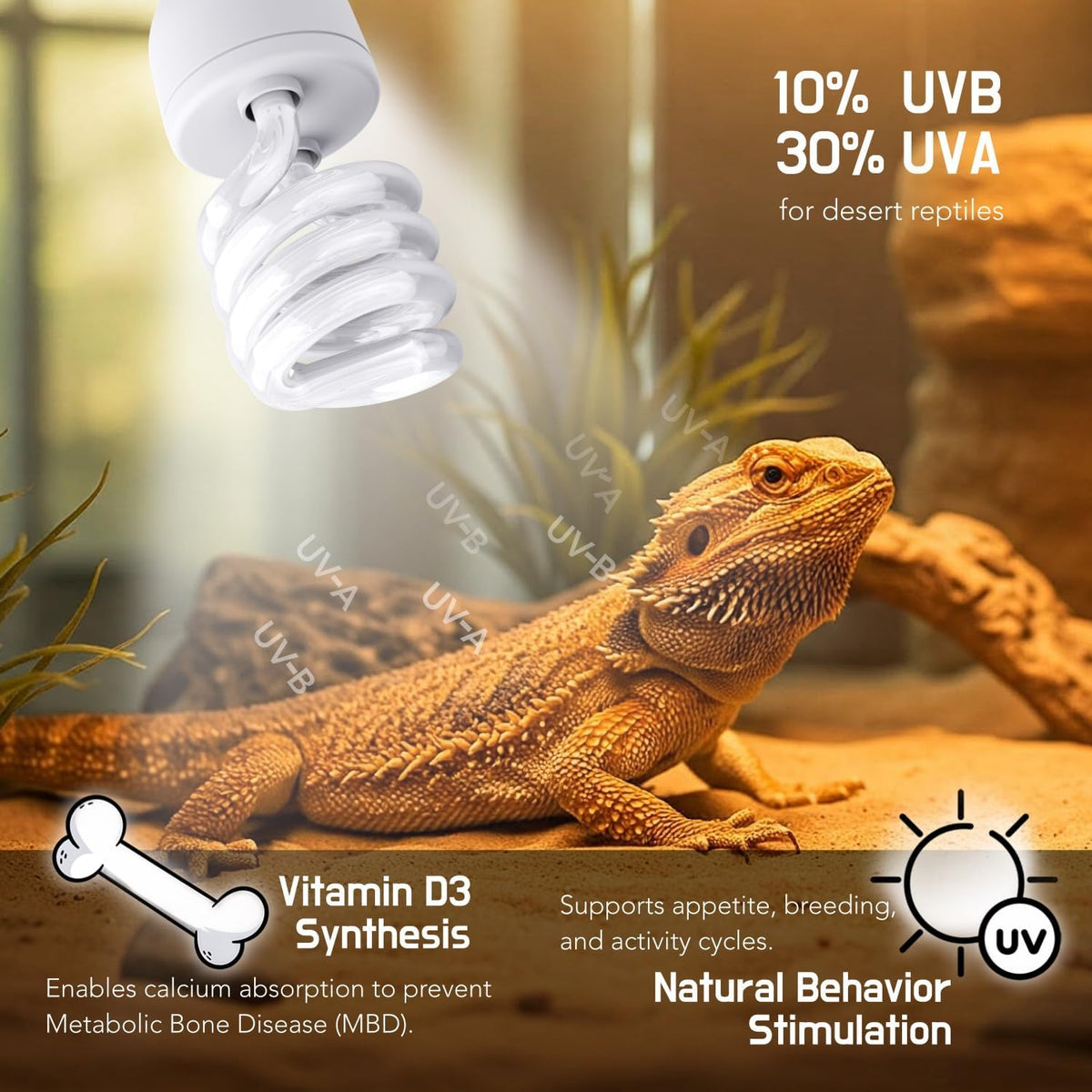 Spiral compact fluorescent terrarium lamp packaging