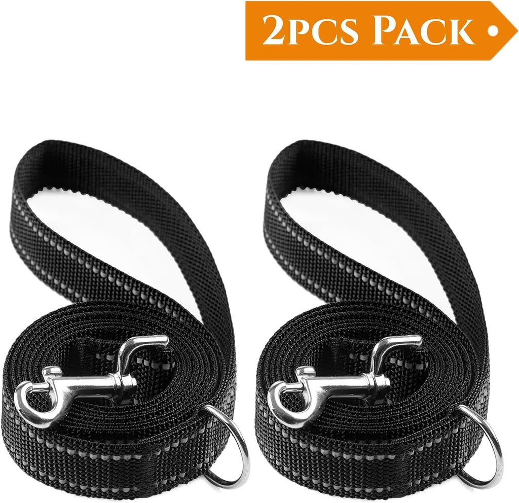 Close up of the dual reflective stitching on the black nylon walking training leash.
