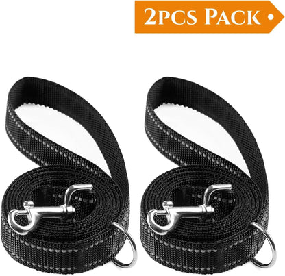 Close up of the dual reflective stitching on the black nylon walking training leash.