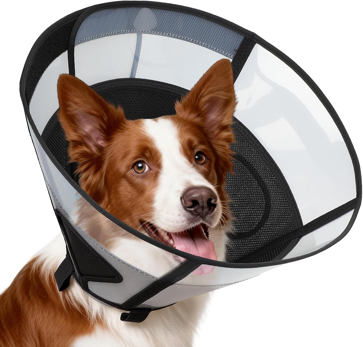 Soft Dog Cone Collar for Large Dogs, Mesh Windows Transparent E Collar for Dog, Anti-Bite Lick Wound Healing After Surgery Neuter Safety Practical Comfy Plastic Cone (Black, L) - Image 9