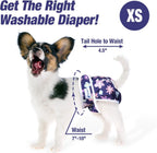 Inner absorbent layer and leakproof pocket design of Pet Soft pet diapers.