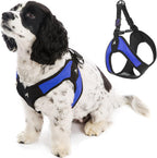 Gooby - Escape Free Easy Fit Harness, Small Dog Step-in Harness for Dogs that Like to Escape Their Harness, Turquoise, Small - Image 9