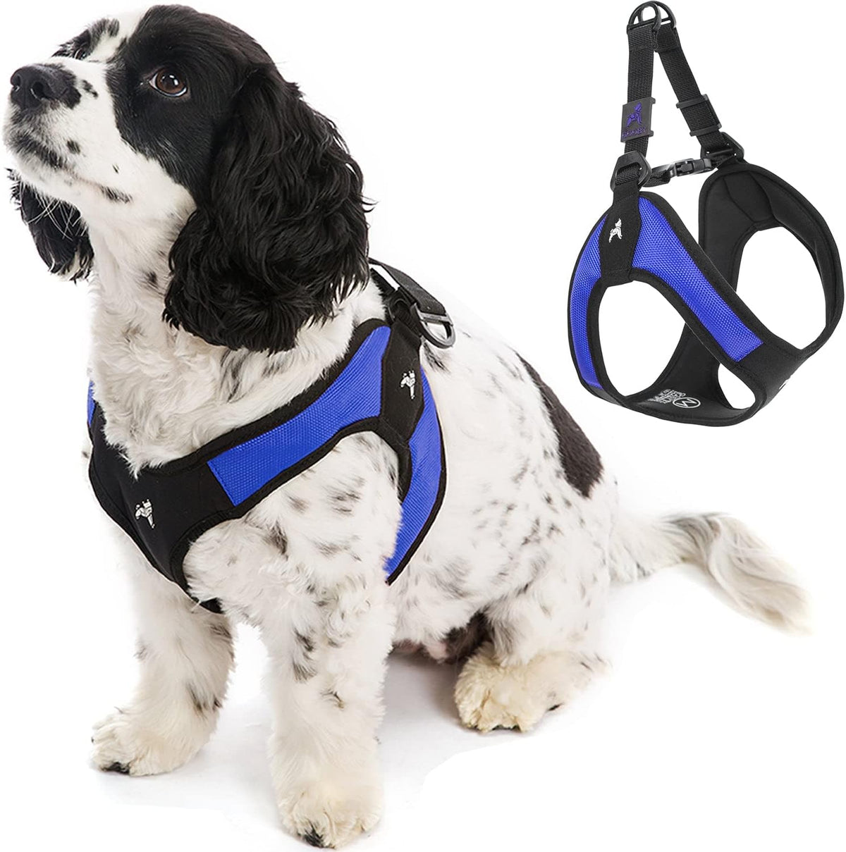 Gooby - Escape Free Easy Fit Harness, Small Dog Step-in Harness for Dogs that Like to Escape Their Harness, Turquoise, Small - Image 9