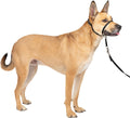 PetSafe Gentle Leader No-Pull Dog Headcollar - The Ultimate Solution to Pulling - Redirects Your Dog's Pulling for Easier Walks - Helps You Regain Control - Medium, Black - Image 1