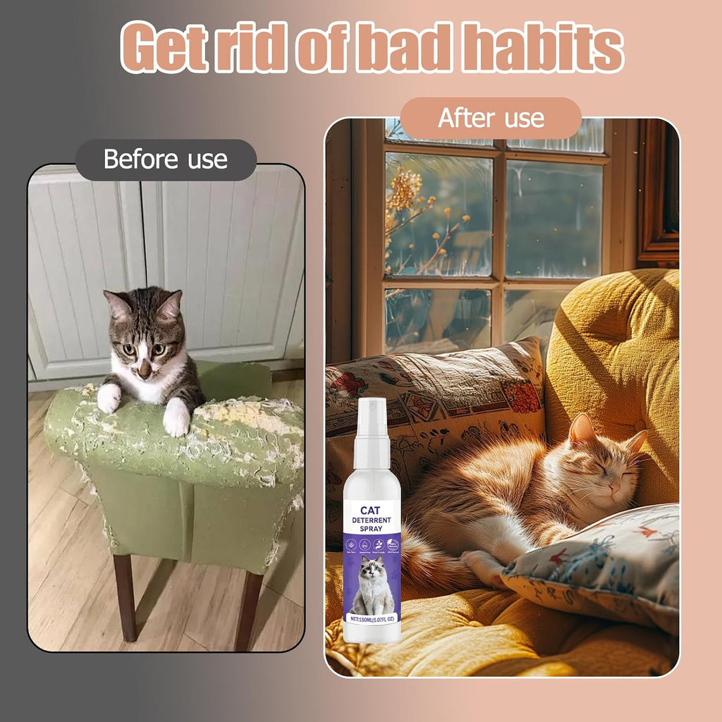 Pet owner training cat with Tefele repellent