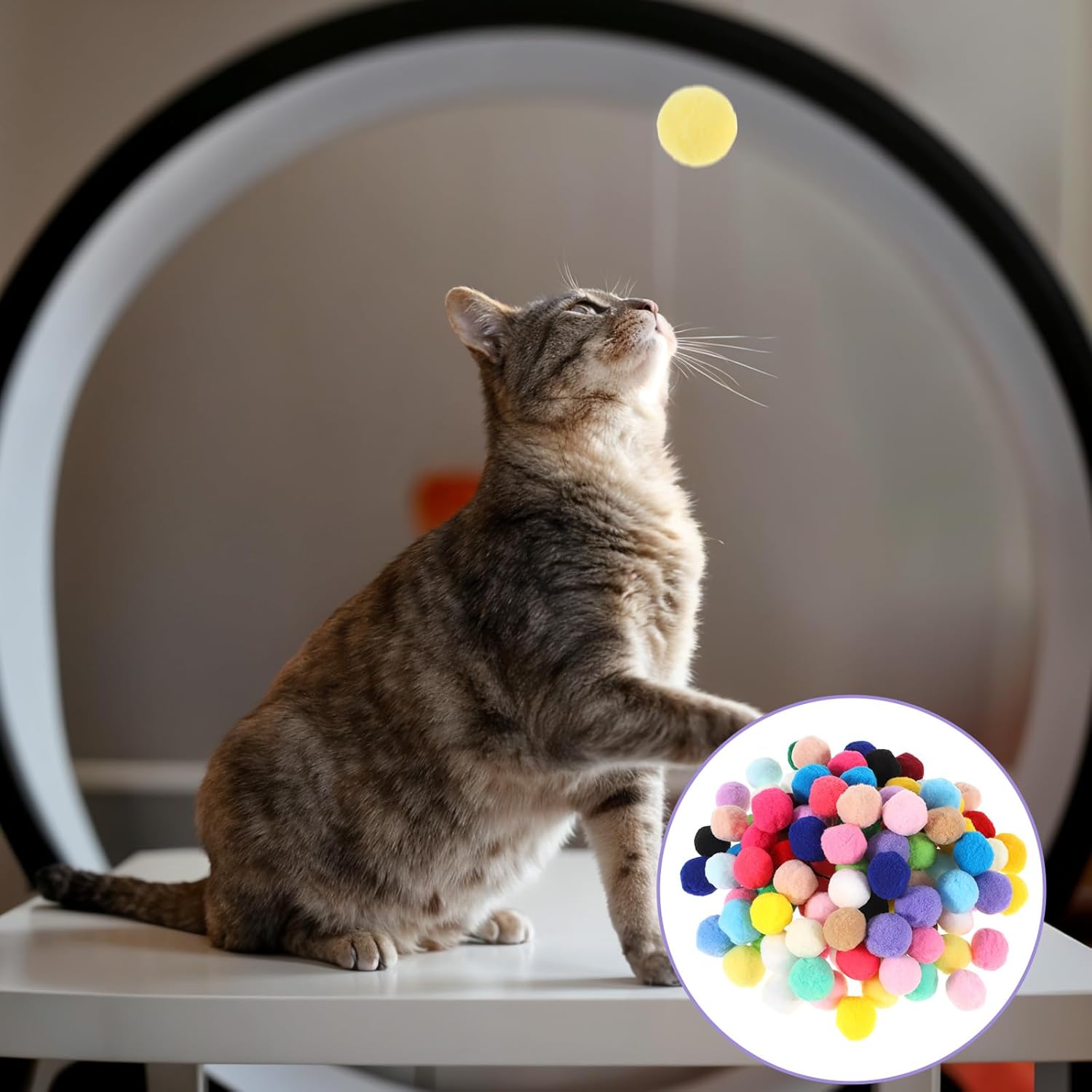 Top down view of 100 piece cat exercise toy set