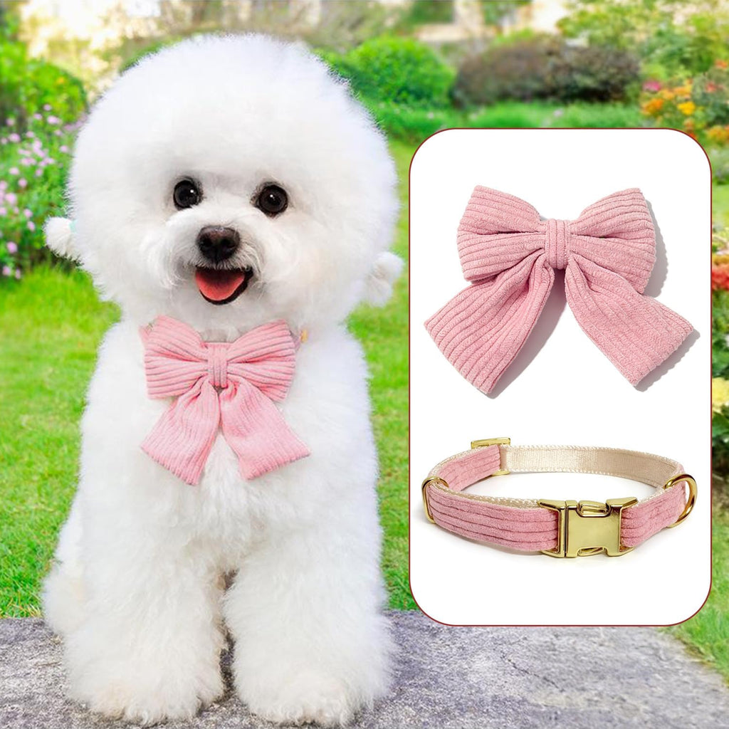 Lwbmg adjustable small dog harness showing gold metal hardware