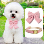 Lwbmg adjustable small dog harness showing gold metal hardware