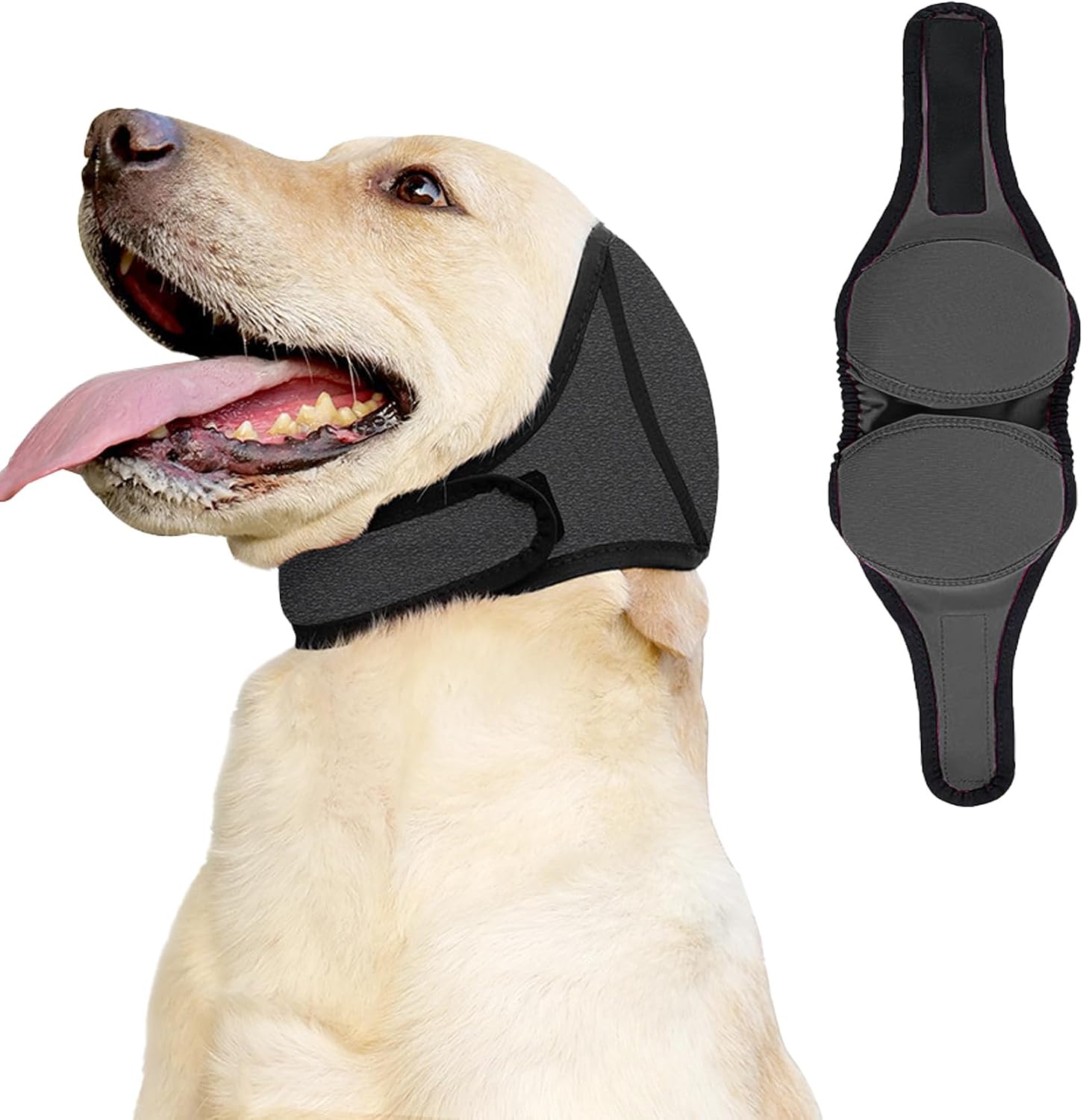 SJTYDX dog ear muffs front view on a golden retriever for noise protection