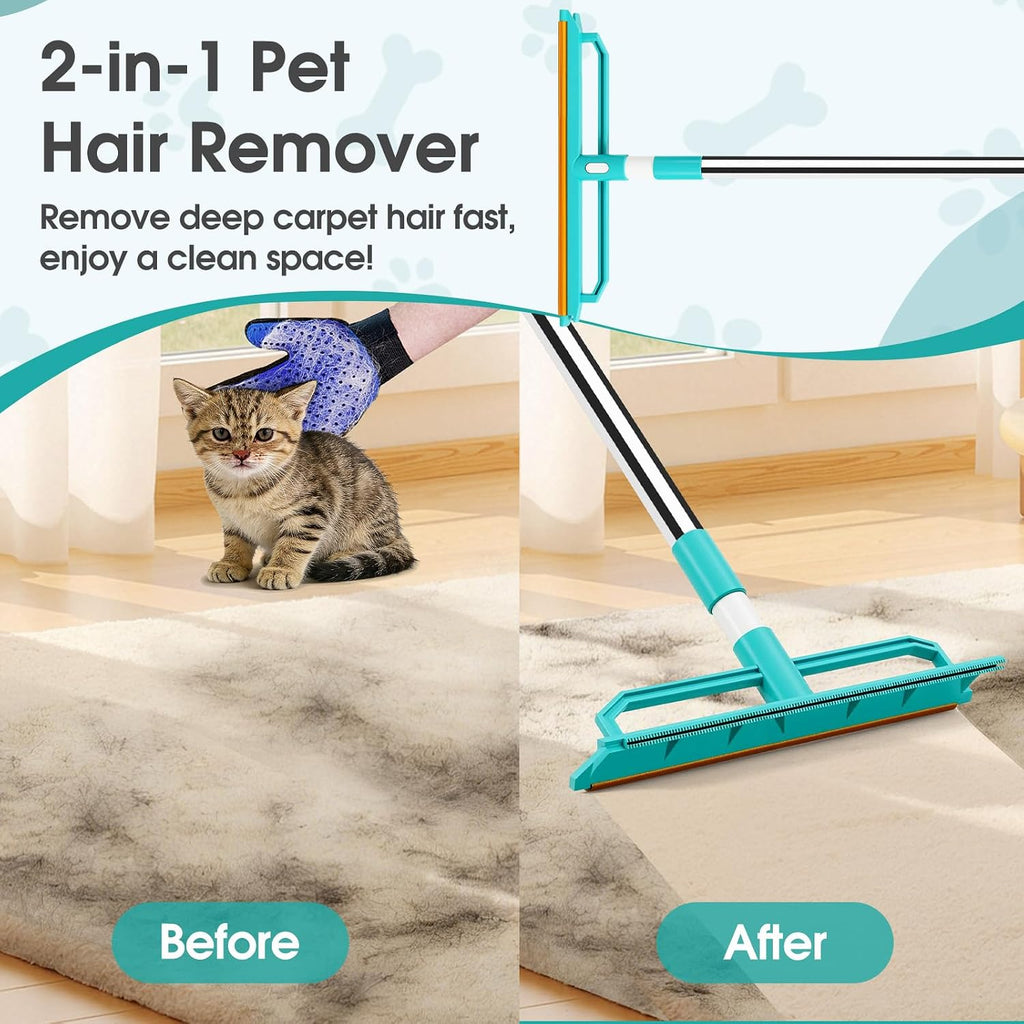 Demonstration of carpet rake cleaning hair from a rug