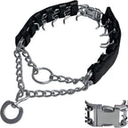 HAESINPA adjustable prong dog training collar front view